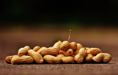 বাদামে থাকা উপাদান রক্তে কোলেস্টেরলের মাত্রা হ্রাসে অবদান রাখতে পারে/পেক্সেলস
