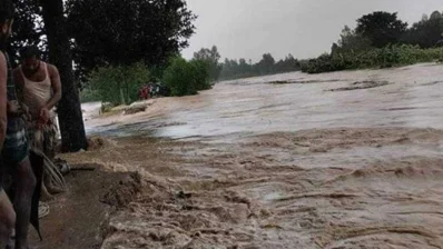 ফসলের ব্যাপক ক্ষতির সম্ভবনা/সংগৃহীত