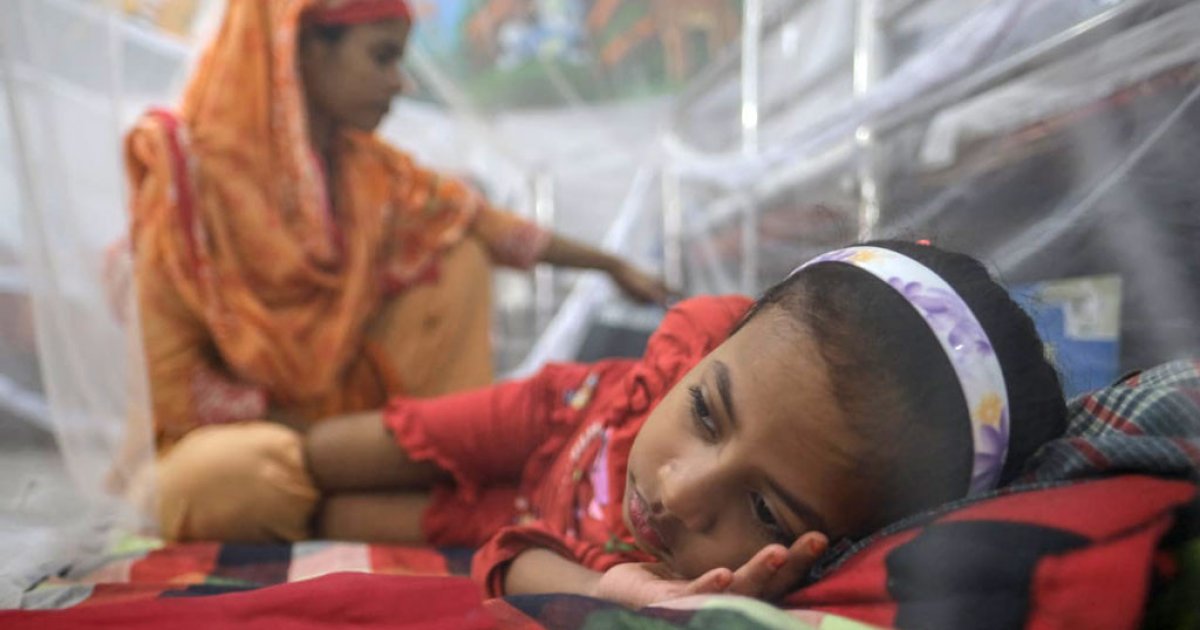 ডেঙ্গুতে হাসপাতালে রেকর্ড ২,২৯২ জন, মৃত্যু ৯