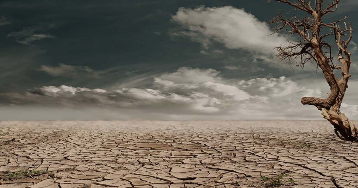 Оральды секс - бұл жерде