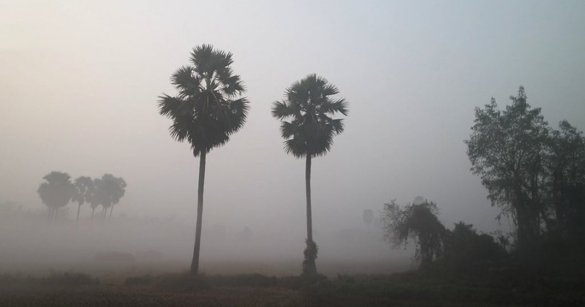 ঘন কুয়াশার চাদরে ঢাকা কুড়িগ্রাম, বিপাকে খেটে-খাওয়া মানুষ