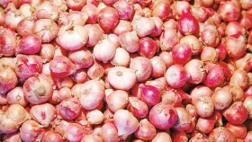 পেঁয়াজ রপ্তানি বন্ধের ঘোষণা ভারতের