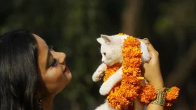 মানসিক স্বাস্থ্য ভালো রাখে পোষা প্রাণী