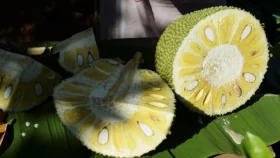কাঁঠালের বার্গার ও তরকারির সহজ রেসিপি