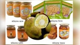 কাঁঠাল থেকে তৈরি হচ্ছে বিভিন্ন খাবার, অর্থনীতিতে নতুন সম্ভাবনা