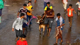 যে পরিমাণ সম্পদ থাকলে কোরবানি ওয়াজিব