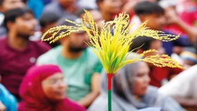 নির্বাচন বিলম্বিত হওয়ার শঙ্কায় বিএনপি