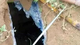 কবর থেকে কঙ্কাল চুরি বন্ধে হাইকোর্টের রুল