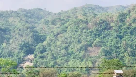 বড়লেখা সীমান্ত দিয়ে আরও ১২ জনকে ঠেলে পাঠালো বিএসএফ
