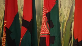 উপজেলা নির্বাচন: ৫১ জনকে বহিষ্কার করল বিএনপি