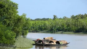 সুন্দরবনে প্রবেশে তিন মাসের নিষেধাজ্ঞা