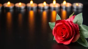গোলাপ ফুলের যত গুণ