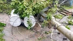 বিদ্যুতের ছেঁড়া তার দেখলে দ্রুত নিকটবর্তী  অফিসকে জানানোর পরামর্শ