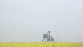 দেশের সর্বনিম্ন তাপমাত্রা নওগাঁয়