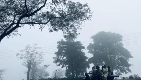 ৮ ডিগ্রিতে নামলো দেশের সর্বনিম্ন তাপমাত্রা
