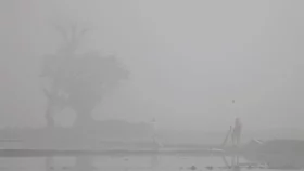 ৯ ডিগ্রিতে নামলো দেশের সর্বনিম্ন তাপমাত্রা