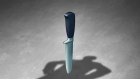 দিনদুপুরে ছিনতাইকারীর ছুরিকাঘাতে আহত দুই পুলিশ সদস্য