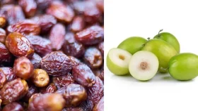 বরই কি খেজুরের বিকল্প হতে পারে?