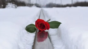 যে মৃত্যু ঠেকানো যায়