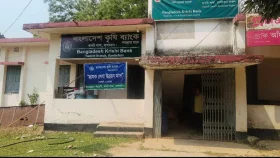 থানচিতে কৃষি ও সোনালী ব্যাংকে ডাকাতি