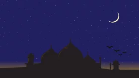 ঈদের চাঁদ দেখা নিয়ে যে আহ্বান জানালো সৌদি আরব