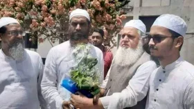 মামুনুল হক কারামুক্ত