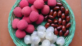 শিশুরা লিচু খাওয়ার সময় বড়রা যা করবেন
