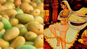 আম্রপালি আমের নামকরণ যেভাবে হলো