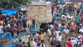 এক লাখ কোটি টাকার কোরবানির অর্থনীতি