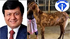 ছাগলকাণ্ডে ফেঁসে যাওয়া মতিউর এবার দুদকের খড়গের নিচে