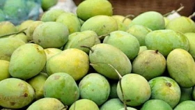 আমের নাম ‘ল্যাংড়া’ হলো যেভাবে
