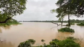 বাঁধের পানি ছাড়ার পর প্রথমবার মুখ খুললো ভারত