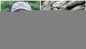 পূজায় ভারতে ইলিশ পাঠানোর পক্ষে ফারুকী