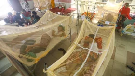 ডেঙ্গুতে হাসপাতালে ভর্তি আরও ৩৭৫, করোনাভাইরাস শনাক্ত ৫ জনের