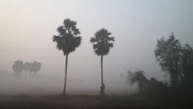 জানুয়ারি মাসজুড়েই থাকবে শীত