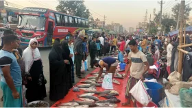 কুমিল্লার হাটে একদিনে মাছ বিক্রি হয় ৬ কোটি টাকার