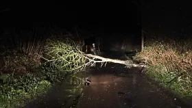সুনামগঞ্জে যাত্রীবাহী ২ বাস আটকে ডাকাতি, টাকা-মোবাইল ফোন লুট