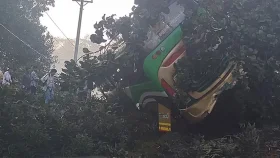 ঈদের ছুটির আট দিনে সড়ক দুর্ঘটনায় নিহত ১৩২
