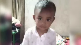 বাড়ির উঠান থেকে শিশুকে নিয়ে গেল শিয়াল, জঙ্গলে মিলল মরদেহ