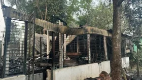 আনন্দ শোভাযাত্রার মোটিফশিল্পীর বাড়ি পুড়িয়েছে দুর্বৃত্তরা