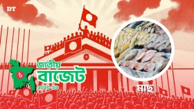 দাম কমতে পারে যেসব পণ্যের