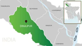 দিনাজপুরে ঘোড়া জবাই করে মাংস বিক্রির সময় আটক ৩