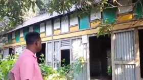 মুন্সীগঞ্জে গরুর মাংস বলে ঘোড়ার মাংস বিক্রির চেষ্টা