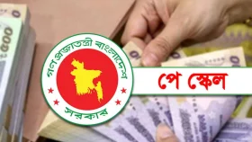 ২ সপ্তাহের মধ্যে মন্ত্রিসভায় উঠছে নবম পে-স্কেলের সুপারিশ