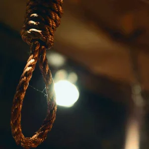 মাগুরা সদরে এইচএসসিতে অকৃতকার্য হওয়ার পর দুই শিক্ষার্থীর মৃত্যু