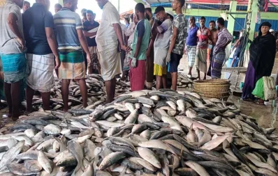 বরিশালে স্থানীয় বাজারে ইলিশের সমাহার/ঢাকা ট্রিবিউন
