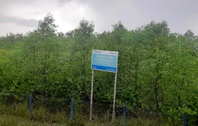 ম্যানগ্রোভ বনের দেখাশোনার কাজ করেন স্থানীয়রাই/ঢাকা ট্রিবিউন