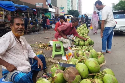 ডাব বিক্রি করছেন খুচরা বিক্রেতারা/ফাইল ছবি/ঢাকা ট্রিবিউন