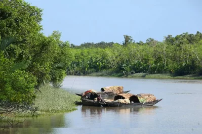 সুন্দরবনের নদী/ফাইল ছবি/ঢাকা ট্রিবিউন