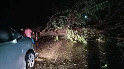 সড়কে গাছ পড়ে যান চলাচল ব্যহত হয়েছে, ২৫ অক্টোবর রাতে তোলা ছবি/ঢাকা ট্রিবিউন